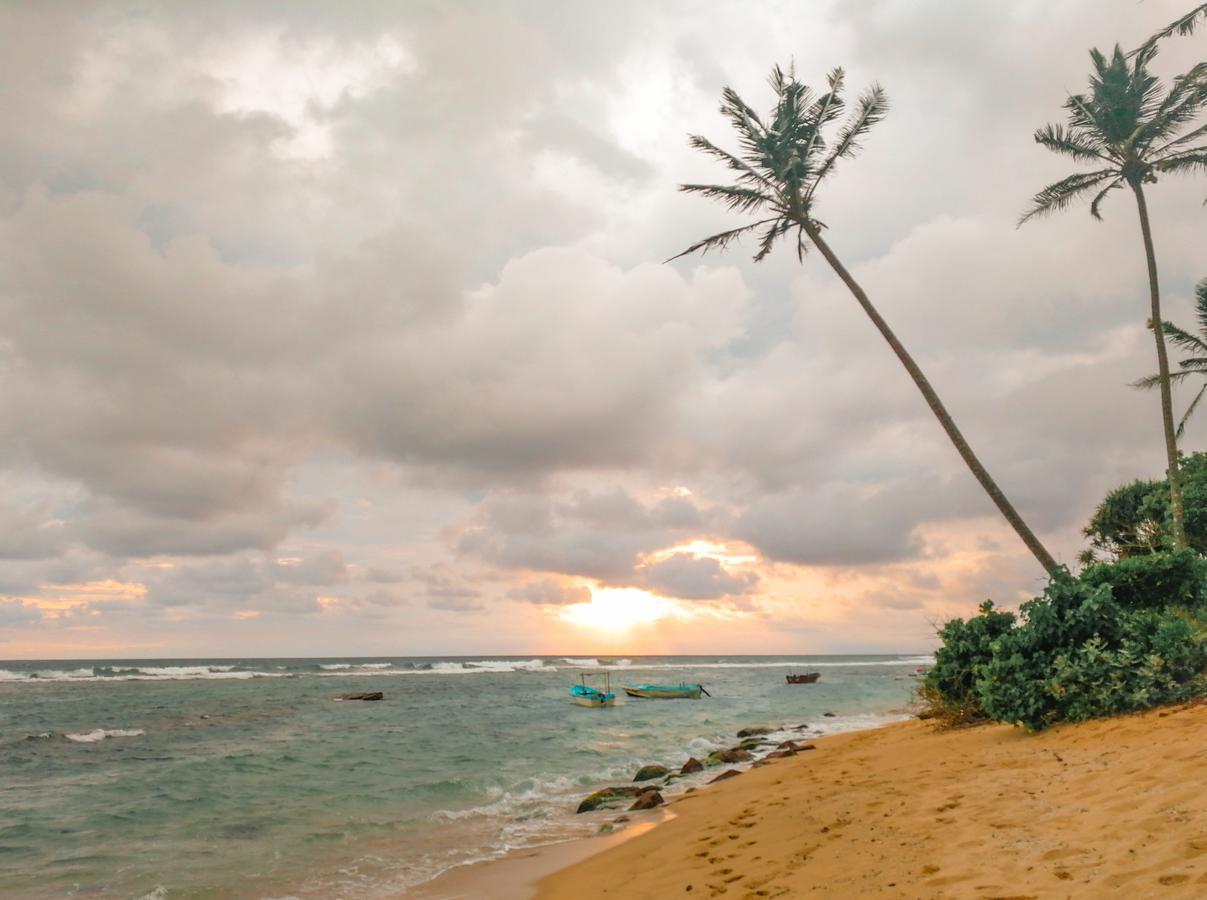 White Villa Beach Resort Mirissa Exterior photo