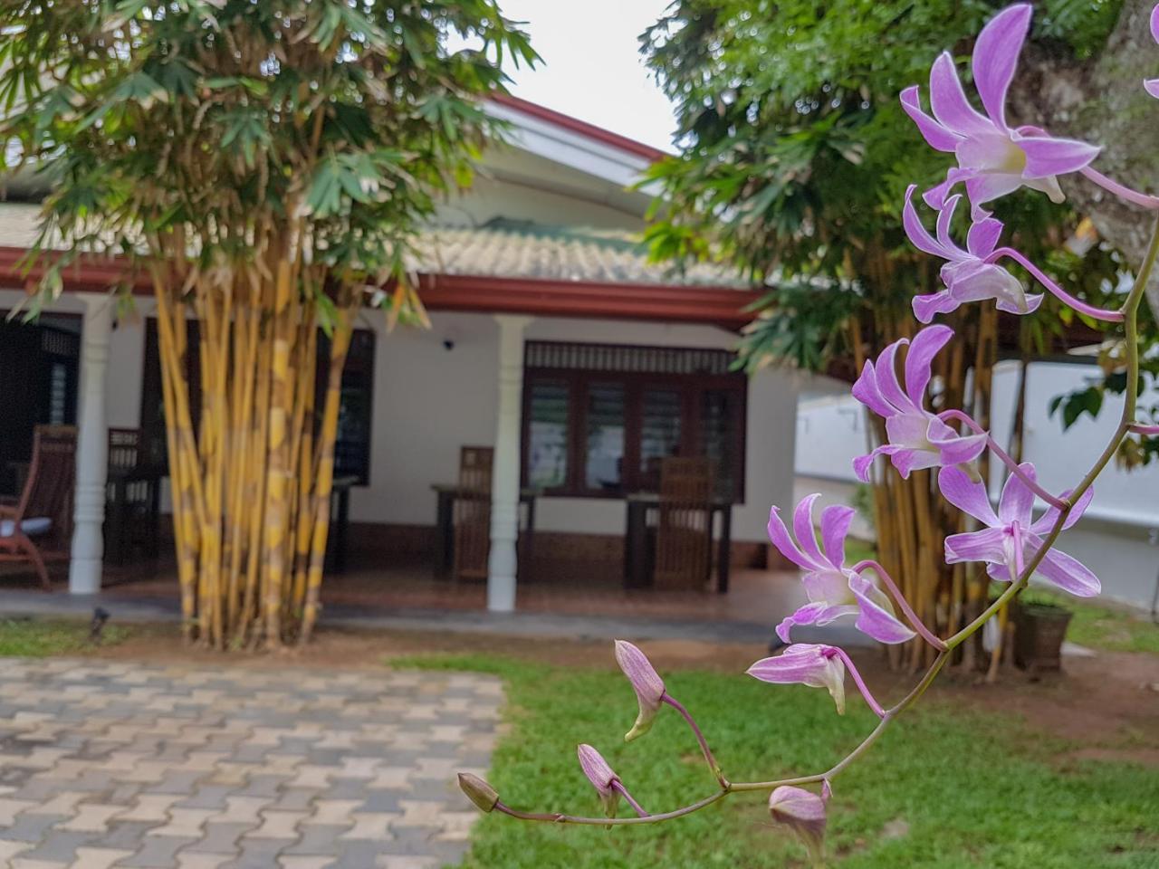 White Villa Beach Resort Mirissa Exterior photo